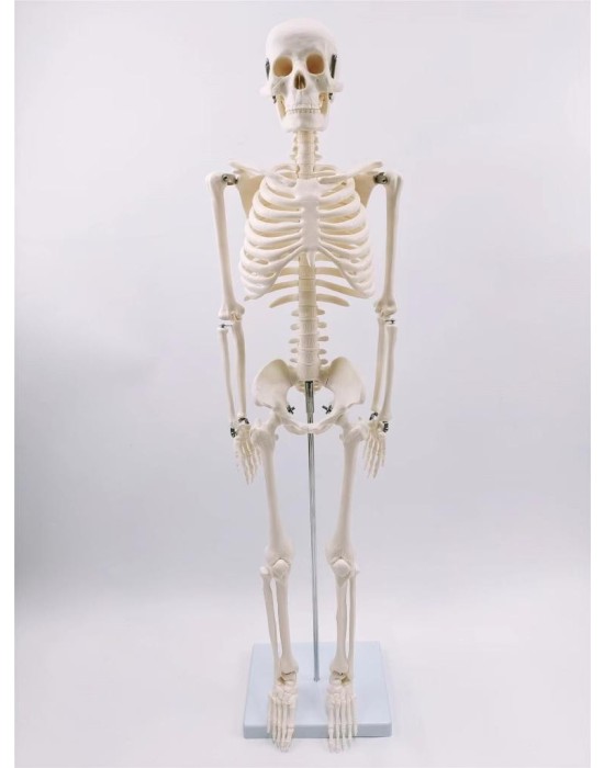 Erkent Sağlık Ürünleri