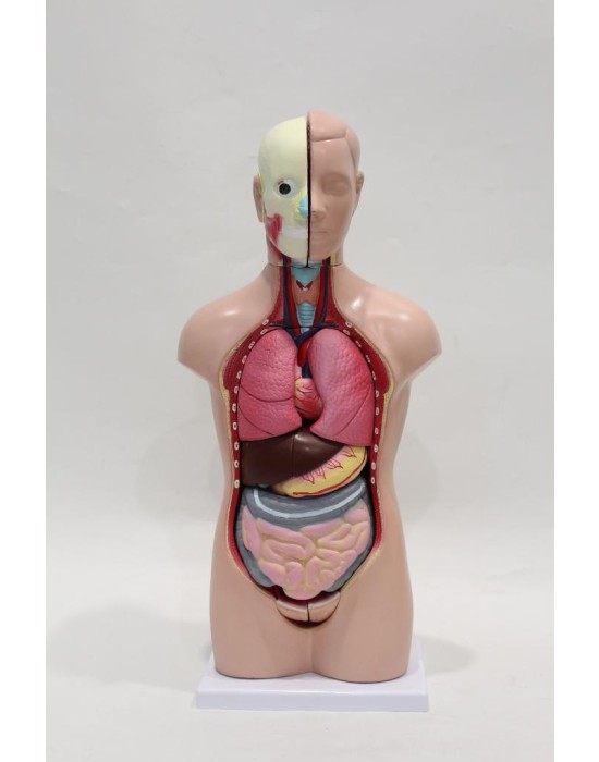 Erkent Sağlık Ürünleri