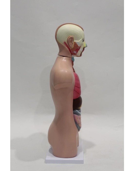 Erkent Sağlık Ürünleri