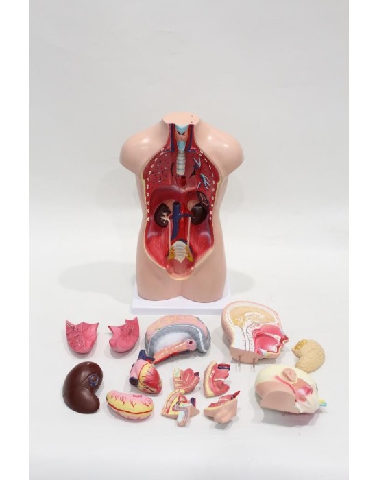 Erkent Sağlık Ürünleri