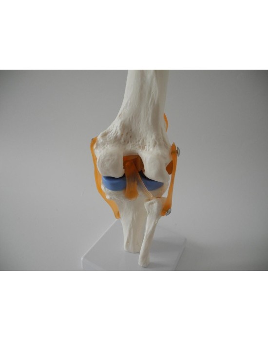 Erkent Sağlık Ürünleri