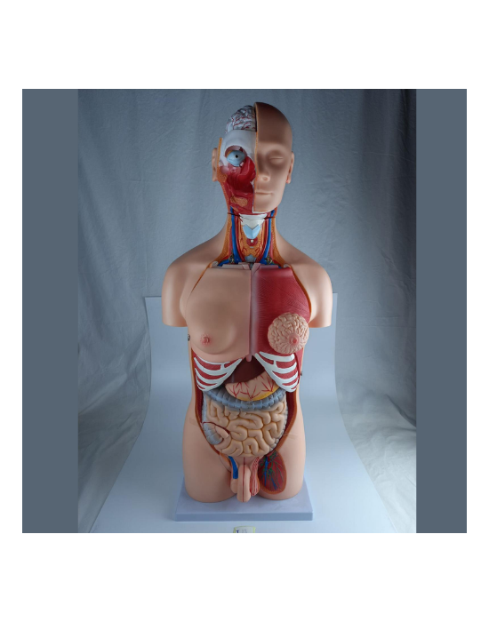 Erkent Sağlık Ürünleri