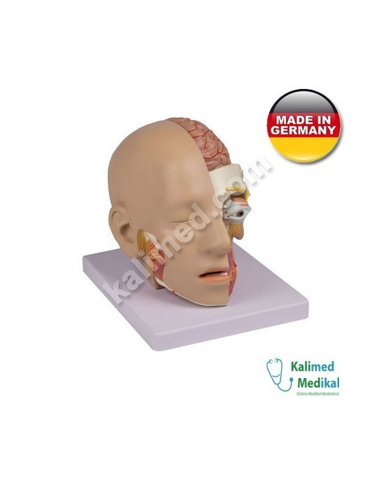 Erkent Sağlık Ürünleri