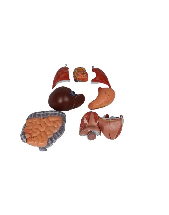 Erkent Sağlık Ürünleri