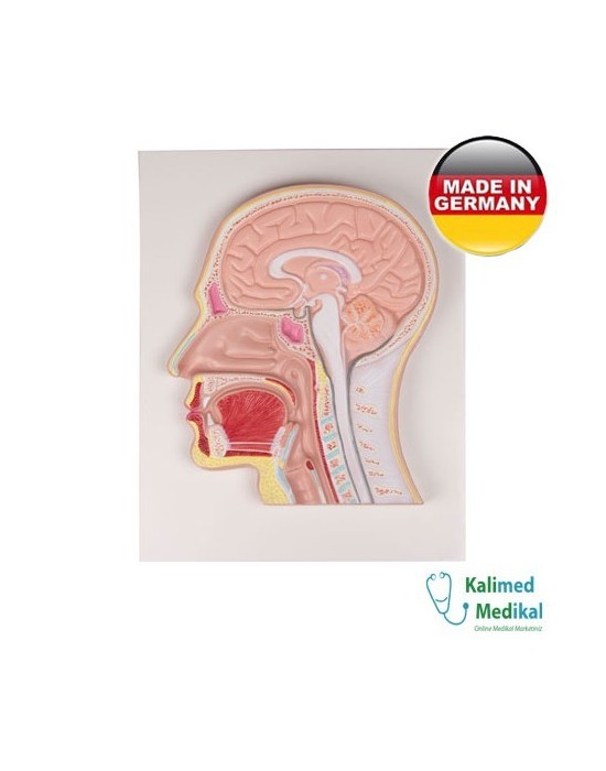 Erkent Sağlık Ürünleri