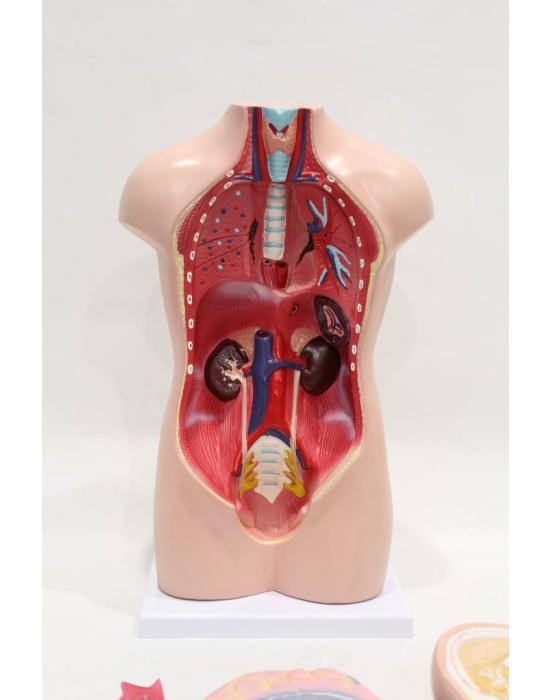 Erkent Sağlık Ürünleri