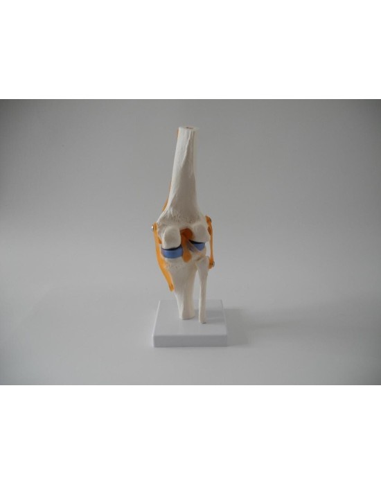 Erkent Sağlık Ürünleri