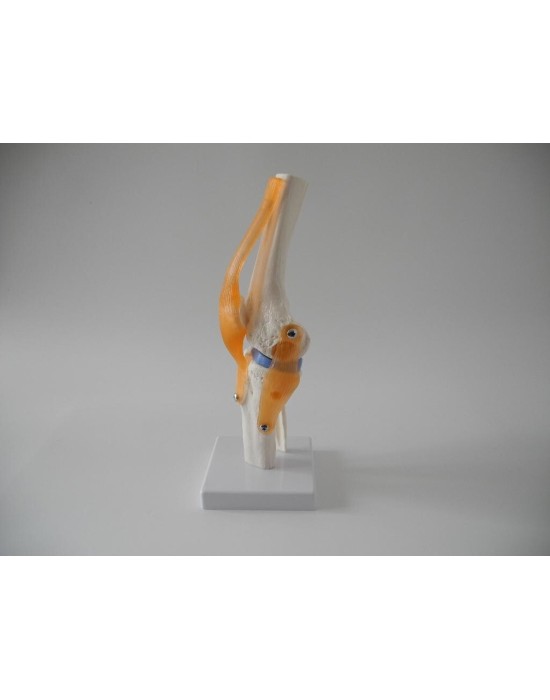 Erkent Sağlık Ürünleri