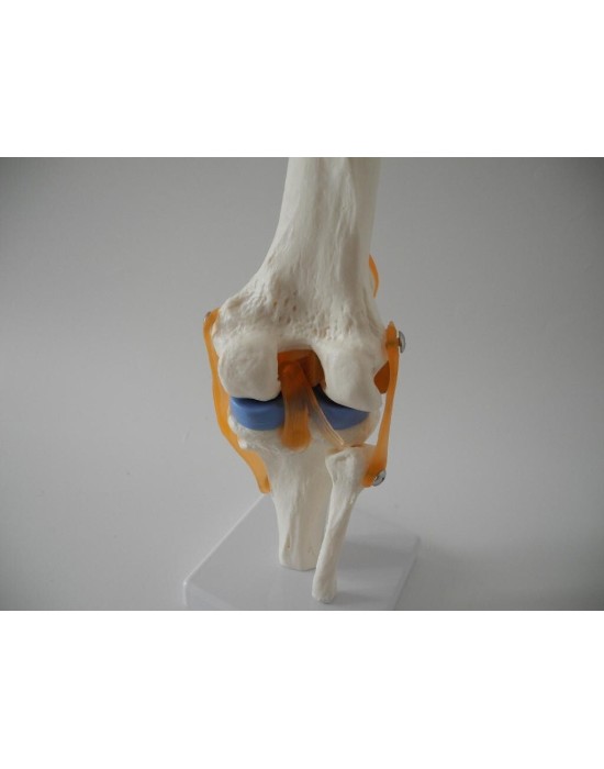 Erkent Sağlık Ürünleri