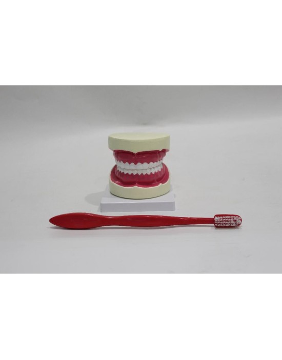 Erkent Sağlık Ürünleri