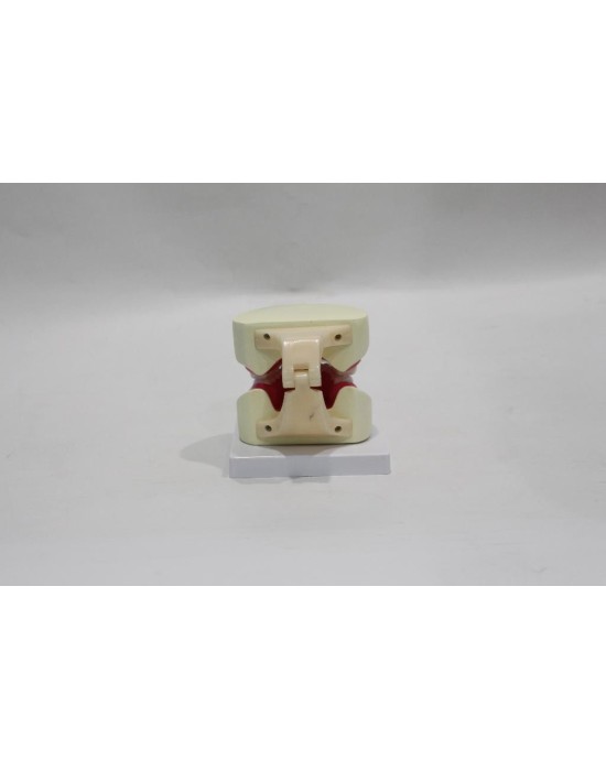 Erkent Sağlık Ürünleri