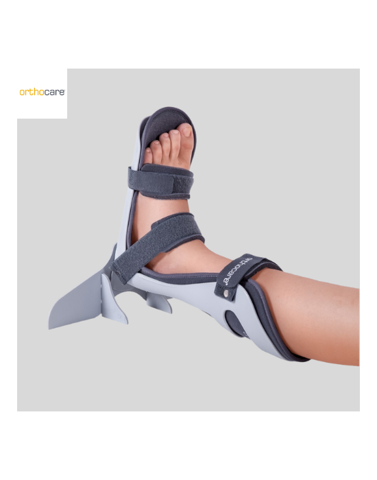 Erkent Sağlık Ürünleri