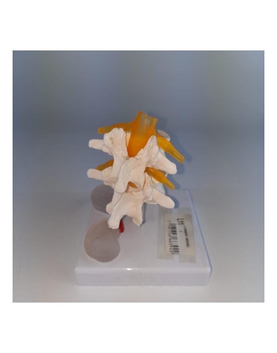 Erkent Sağlık Ürünleri