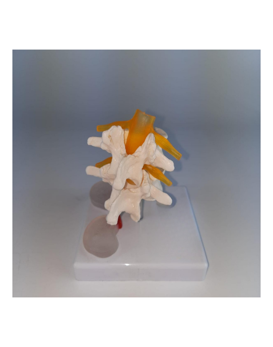 Erkent Sağlık Ürünleri