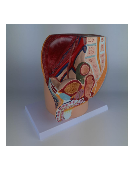 Erkent Sağlık Ürünleri