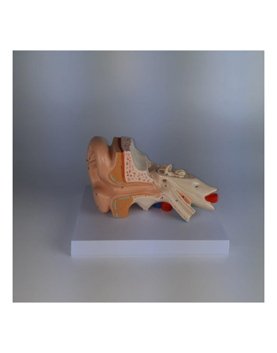 Erkent Sağlık Ürünleri