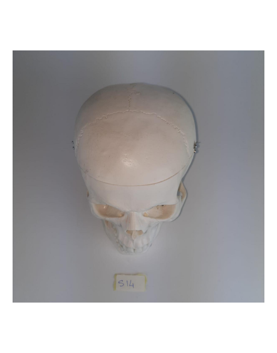 Erkent Sağlık Ürünleri