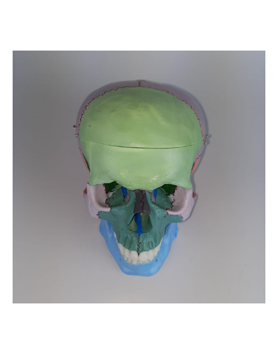 Erkent Sağlık Ürünleri