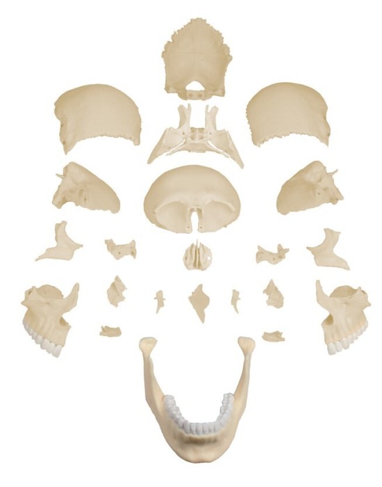 Erkent Sağlık Ürünleri