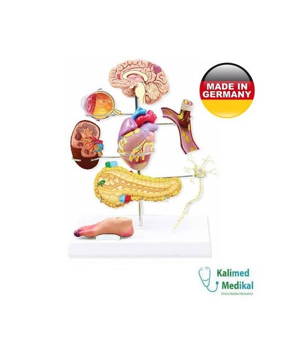 Erkent Sağlık Ürünleri