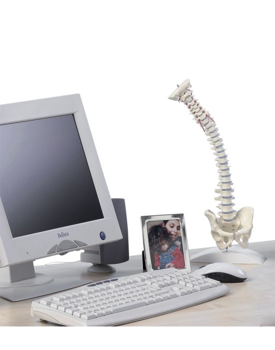 Erkent Sağlık Ürünleri