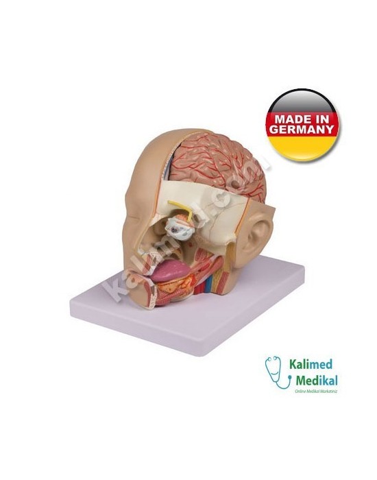 Erkent Sağlık Ürünleri