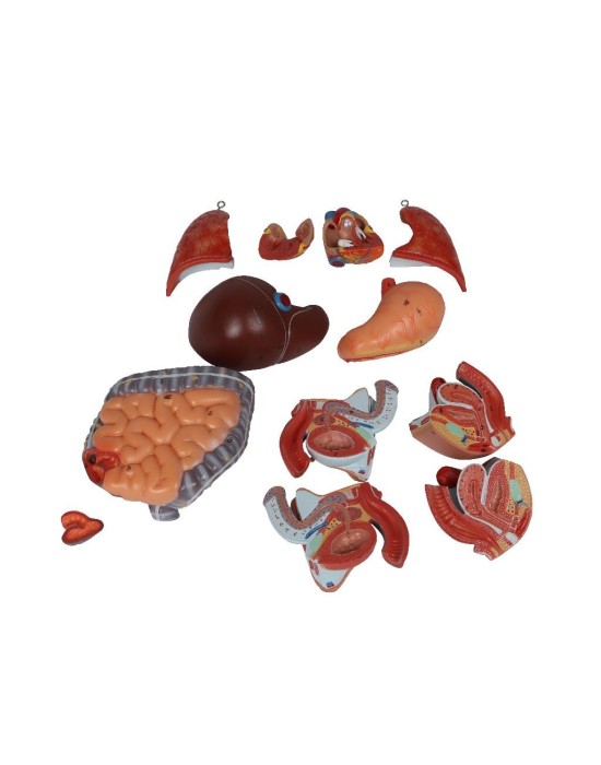 Erkent Sağlık Ürünleri