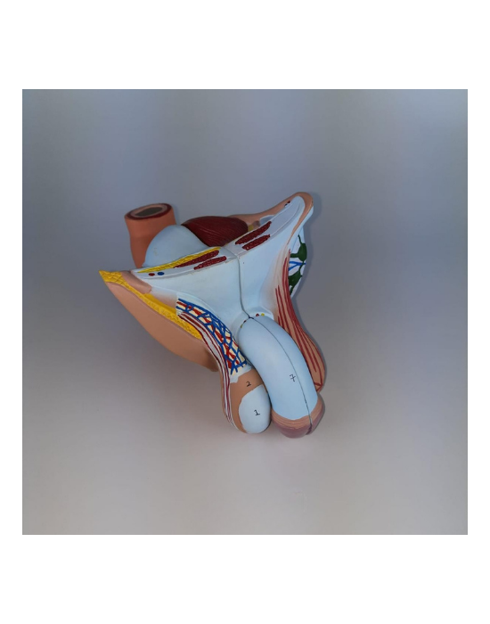 Erkent Sağlık Ürünleri