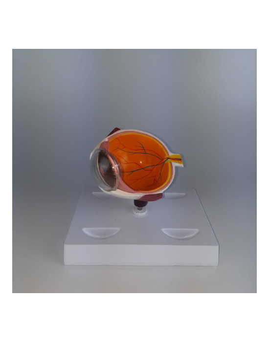 Erkent Sağlık Ürünleri