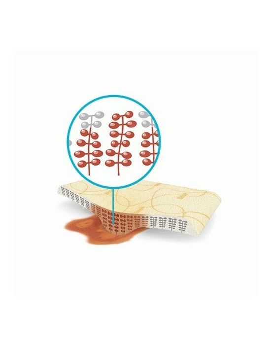 Erkent Sağlık Ürünleri