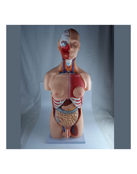 Erkent Sağlık Ürünleri