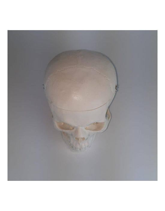 Erkent Sağlık Ürünleri