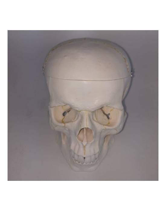 Erkent Sağlık Ürünleri