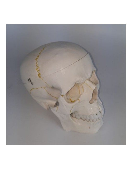 Erkent Sağlık Ürünleri