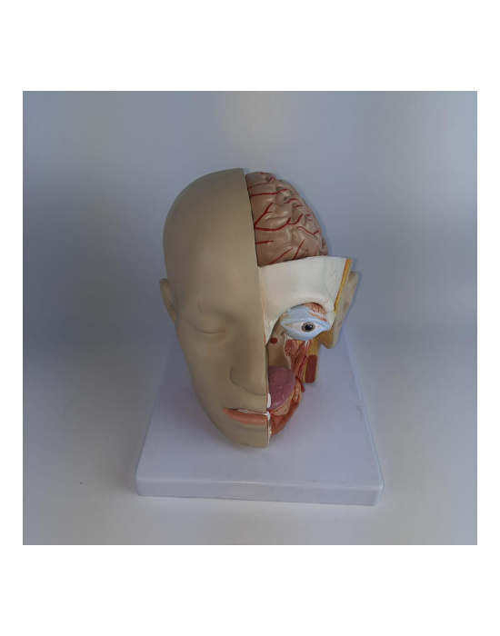 Erkent Sağlık Ürünleri