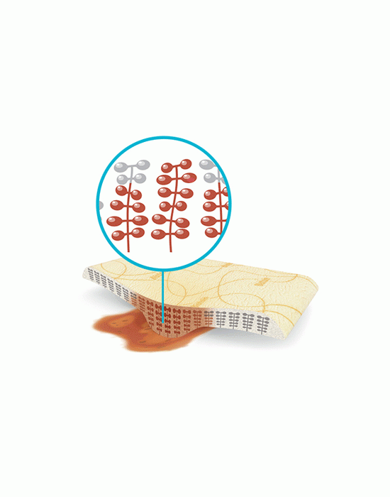 Erkent Sağlık Ürünleri