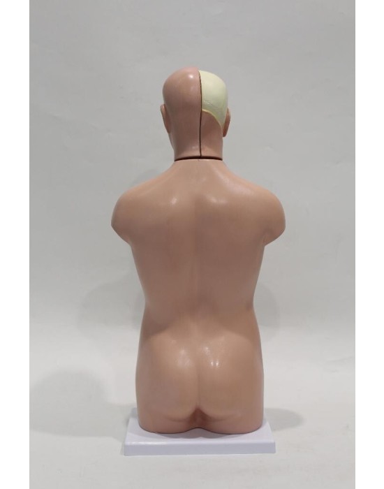 Erkent Sağlık Ürünleri