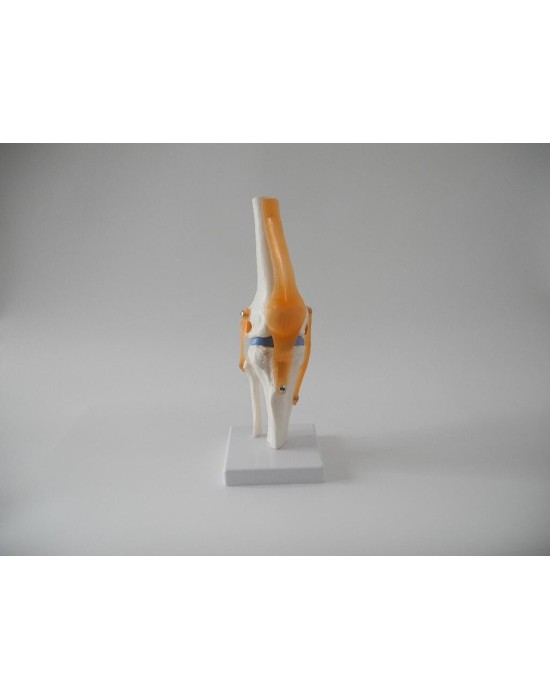 Erkent Sağlık Ürünleri