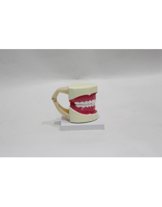 Erkent Sağlık Ürünleri