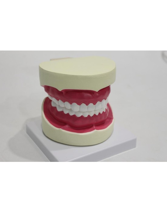 Erkent Sağlık Ürünleri