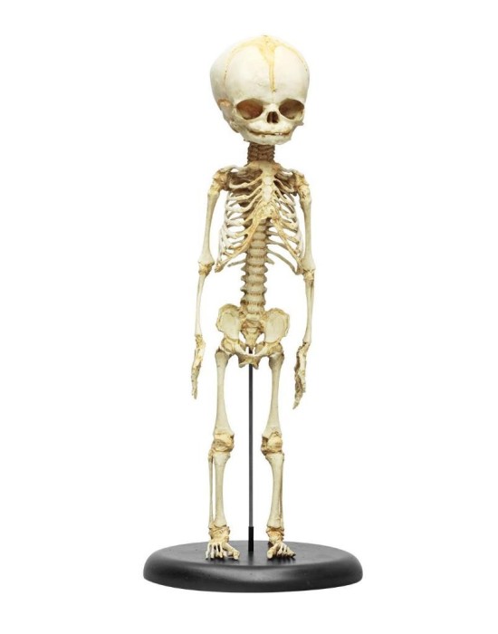 Erkent Sağlık Ürünleri