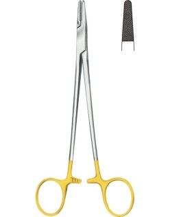 PORTEGÜ 20 CM