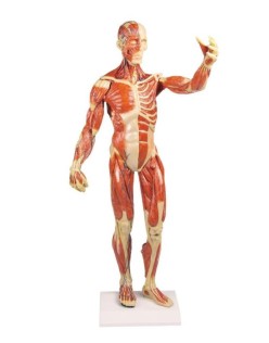 B90 KAS SİSTEMİ MODELİ MADE İN GERMANY