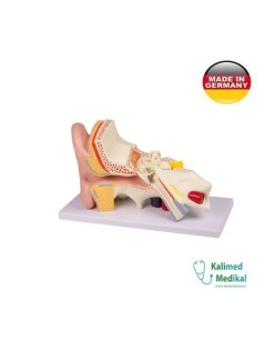 E210 KULAK MODELİ GENEL