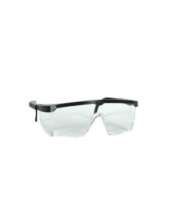 KORUYUCU LABORATUVAR GÖZLÜĞÜ - VİOLA VALENTE