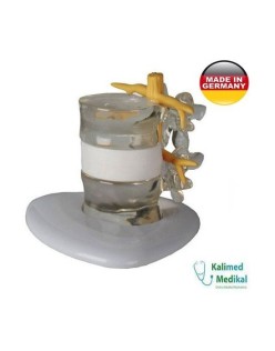 HERNIATED DISC SIMULATOR MODEL 4400
