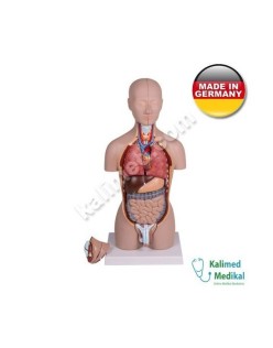 B223 MİNYATÜR TORSO 16 PARÇA