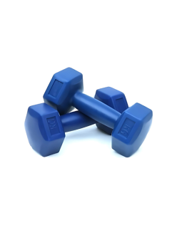 PLASTİK DAMBIL AĞIRLIK 2 KG TEK