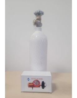 ALÜMİNYUM OKSİJEN TÜPÜ MANOMETRELİ SET 1LT (MİNİ) ACİL ÇANTASI İÇİN SET BAŞLIK DAHİL