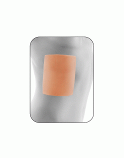 REGENERATION SİLİKON JEL SHEET RG-3631 12,5X15X0,1